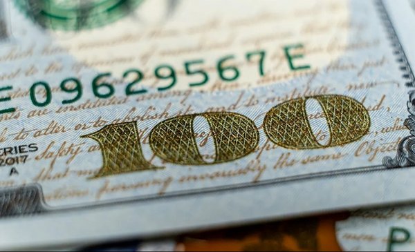 El DÓLAR se encamina a cerrar su mejor año en una década | Dolarhoy.com